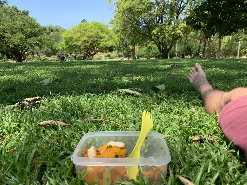 Lunch in the nearby botanic gardens